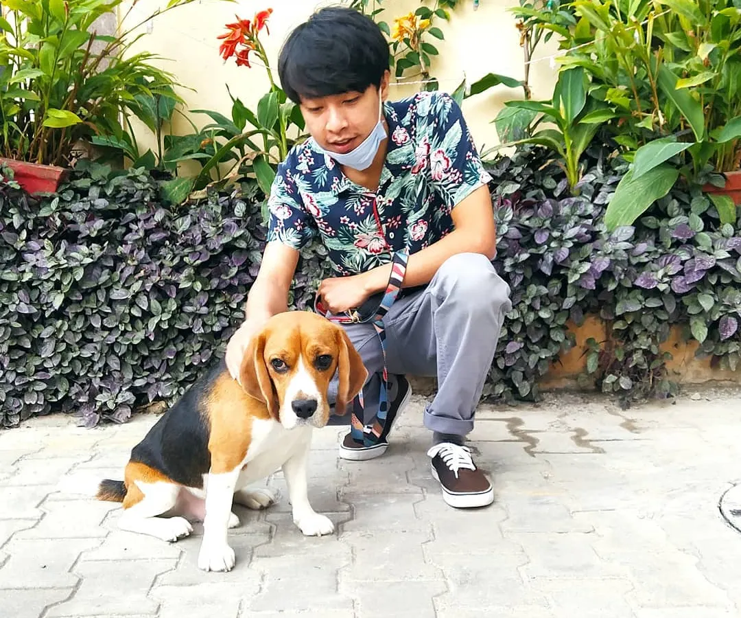 Here's one of our team members with Rossi, a beautiful Beagle from the Richmond Road area. We take her on a 45-minute walk every day to make sure she gets all the activity and sniffing time she needs.