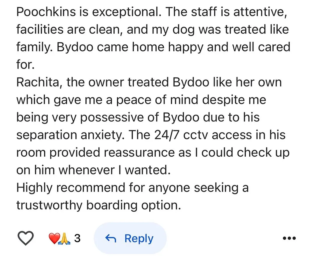 Nothing makes us happier than receiving messages like this. We are so glad Bydoo's mom felt at peace knowing he was safe and loved, especially with his separation anxiety. This is the trust we build with every family.