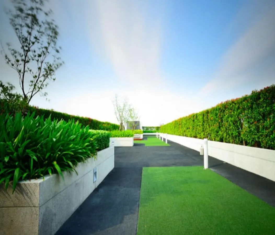 This project demonstrates how we create structured and functional rooftop gardens. We incorporated neat pathways, raised planters with dense hedges for privacy, and patches of green lawn, turning this roof into a walkable, modern park in the sky.
