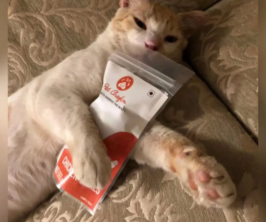 Find someone who holds you the way this kitty holds their favorite bag of Pet Chefin treats. This is pure, unadulterated love for single-ingredient, natural goodness.