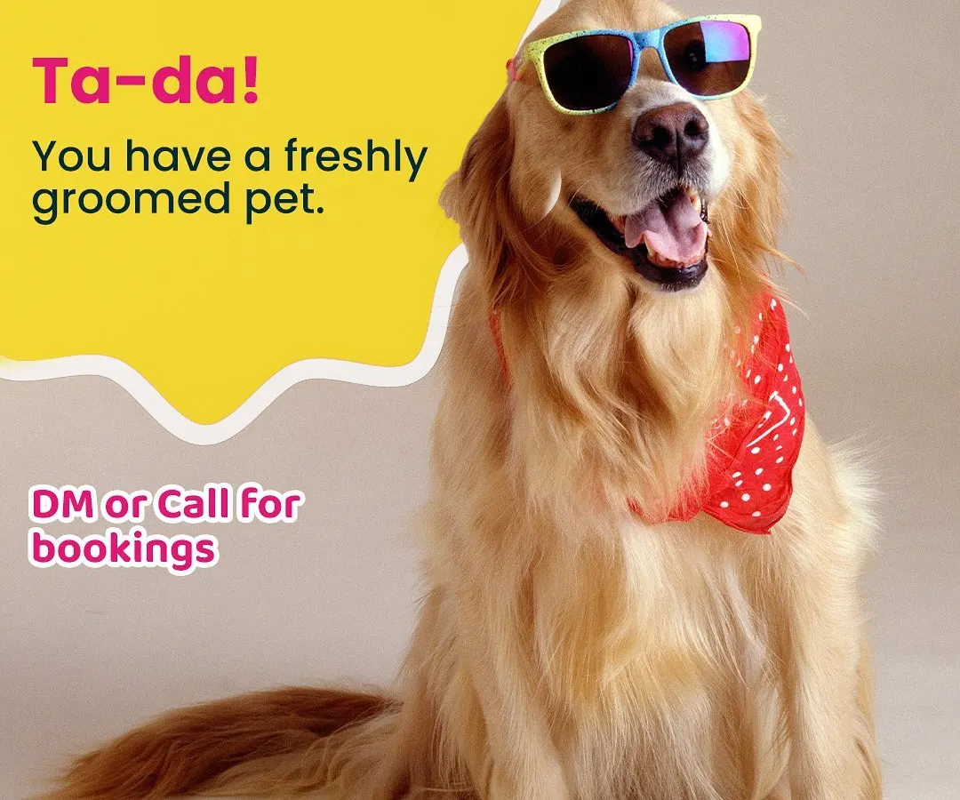 And just like that, you have a happy and freshly groomed pet! Our goal is to make your pet look and feel fantastic without any of the usual hassle.