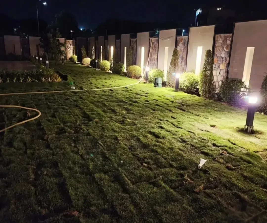 This is the final look of a large-scale lawn renovation, illuminated by strategically placed garden lighting. We use premium natural grass turf to create expansive, healthy lawns for farmhouses and commercial properties, ensuring a stunning result day or night.