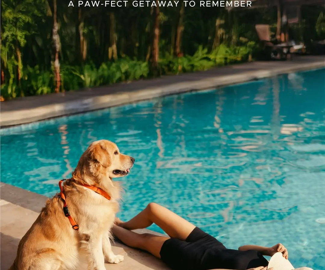 We believe that true getaways are shared with everyone you love. That's why we welcome your furry companions to enjoy our serene landscapes, with special amenities just for them in our 'Pawfect Petcation' experience.