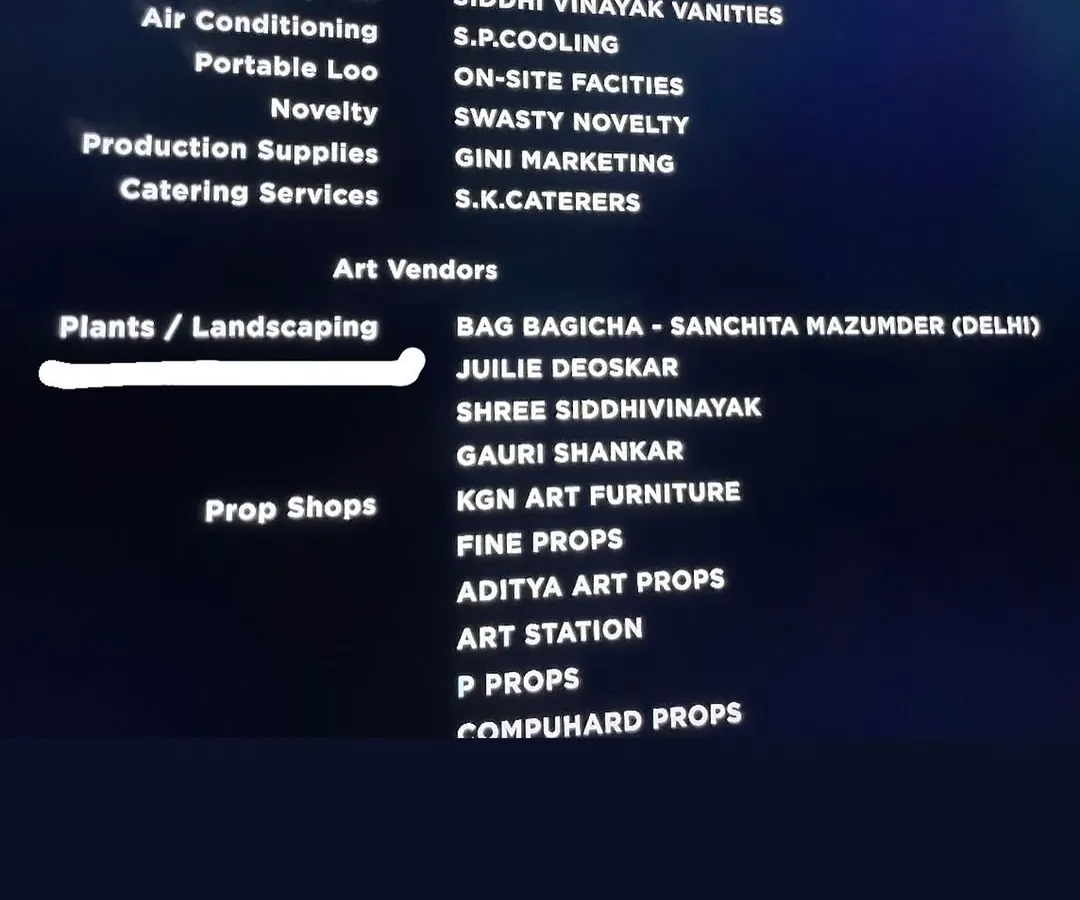It was such a proud moment to see my company, Baagh Bagicha, in the credits for 'Call Me Bae'. This is a testament to the hard work and dedication my team and I bring to every project.