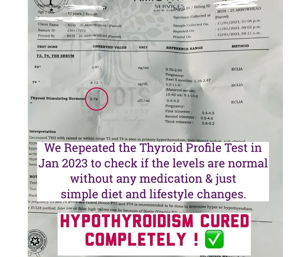 This is what's possible with Ayurveda. This report shows a client's thyroid levels returning to normal after my treatment plan, completely reversing their hypothyroidism and freeing them from daily medication.