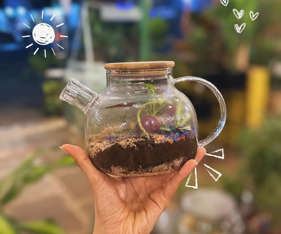 This isn't just any teapot. It's a self-sustaining terrarium, a tiny green world that needs very little care. I love how the glass teapot creates a unique home for the plants and cute figurines inside.