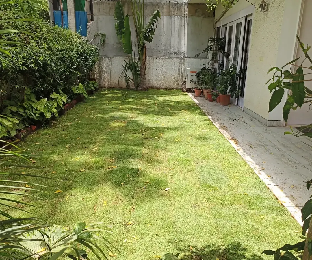 This is the kind of result I aim for. A lush, healthy, and evenly green lawn that completely transforms a home's backyard into a beautiful, relaxing space.