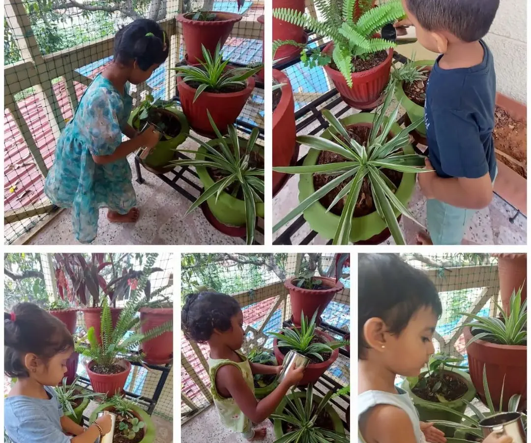 We believe in caring for our environment. Children learn responsibility and a love for nature by taking care of our school's plants, watering them, and watching them grow.