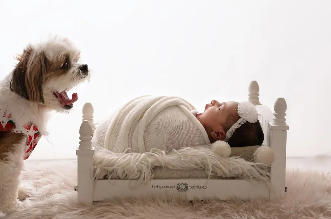 Yes, I absolutely photograph with pets. It can be chaotic, but capturing the bond between a newborn and a furry family member is always worth it. This high-key portrait of a baby and their watchful dog is a perfect example of the unique, heartwarming moments we can create.