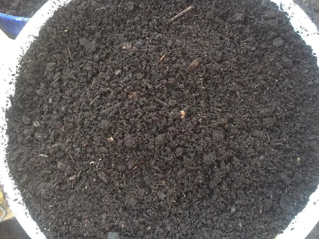 This is the final product, our "Garden Gold." This is our aged, finely screened compost, perfect for starting seeds or giving your garden beds a nutrient boost. It's dark, rich, and full of life.