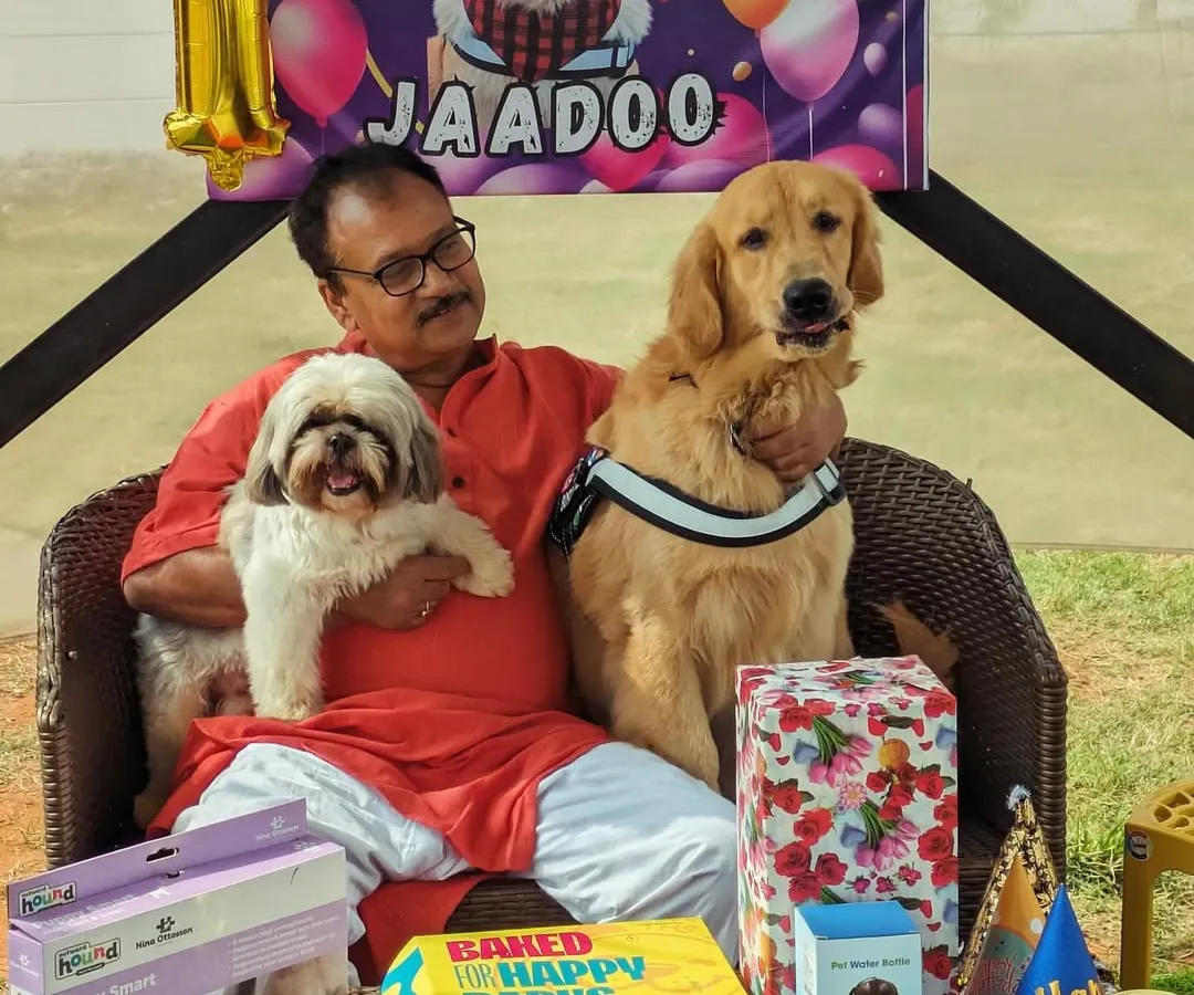 Celebrating Jaadoo's first birthday was a blast. We love hosting dog birthday parties and handle everything from the custom banner and decorations to the tasty, pet-safe cake.