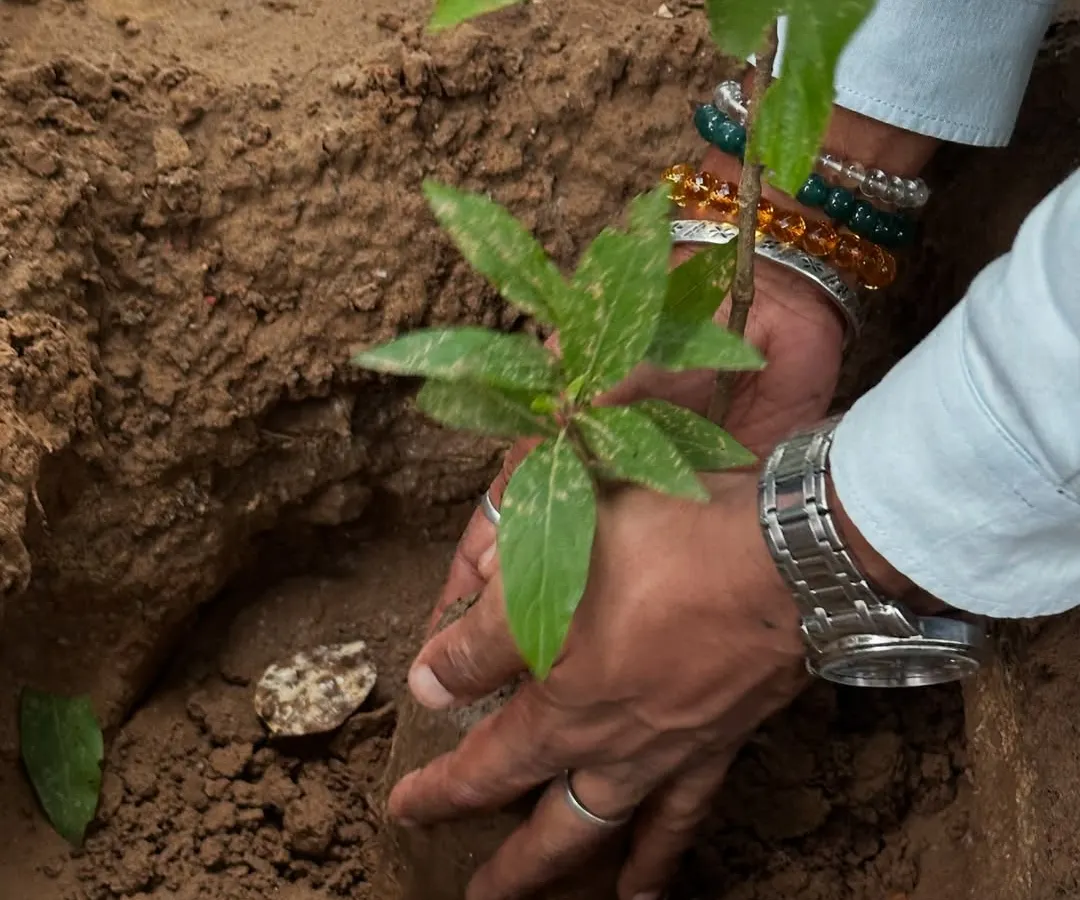 This is where it all begins. We believe in habitat creation, not just counting saplings. Every native plant we place in the soil is a promise to restore the Aravalis, bringing back an ecosystem that supports our city and its wildlife.