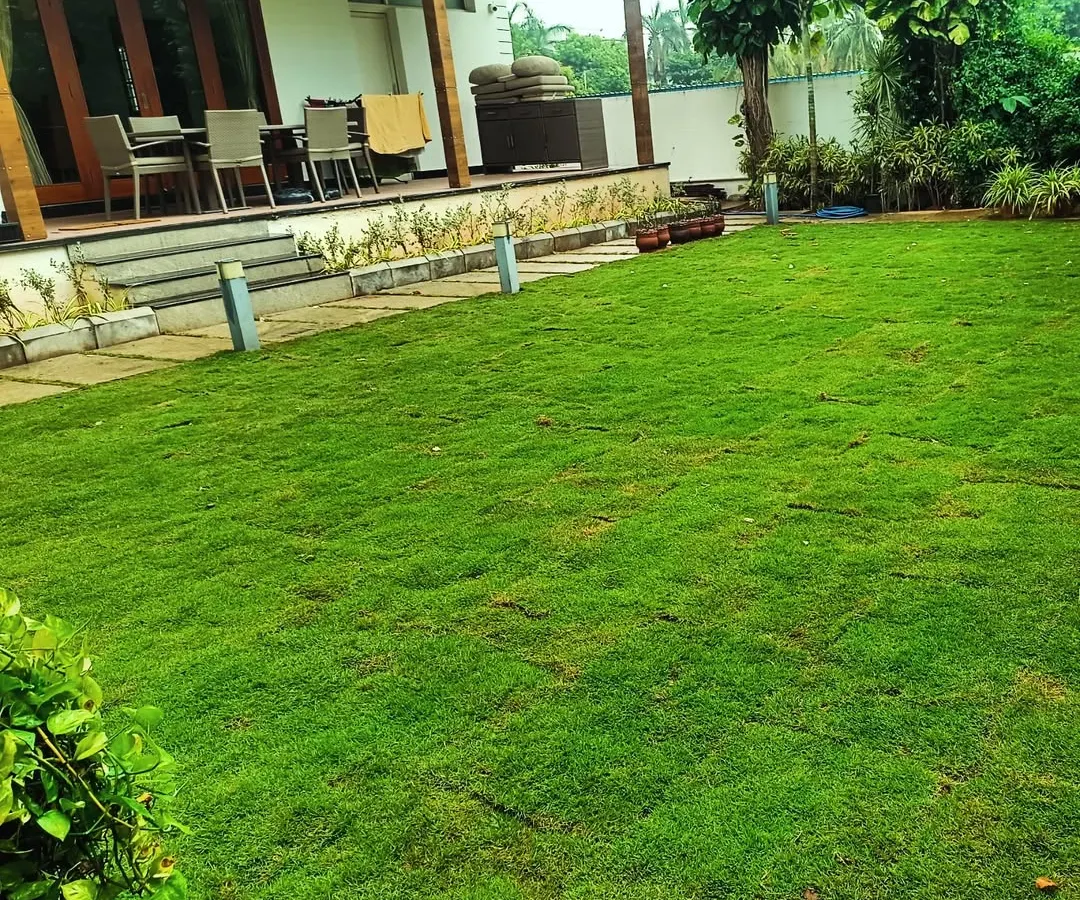 This is the end result we aim for: a perfectly green, healthy lawn that makes the whole house look better. We can create this beautiful, lush space for you to enjoy with your family.