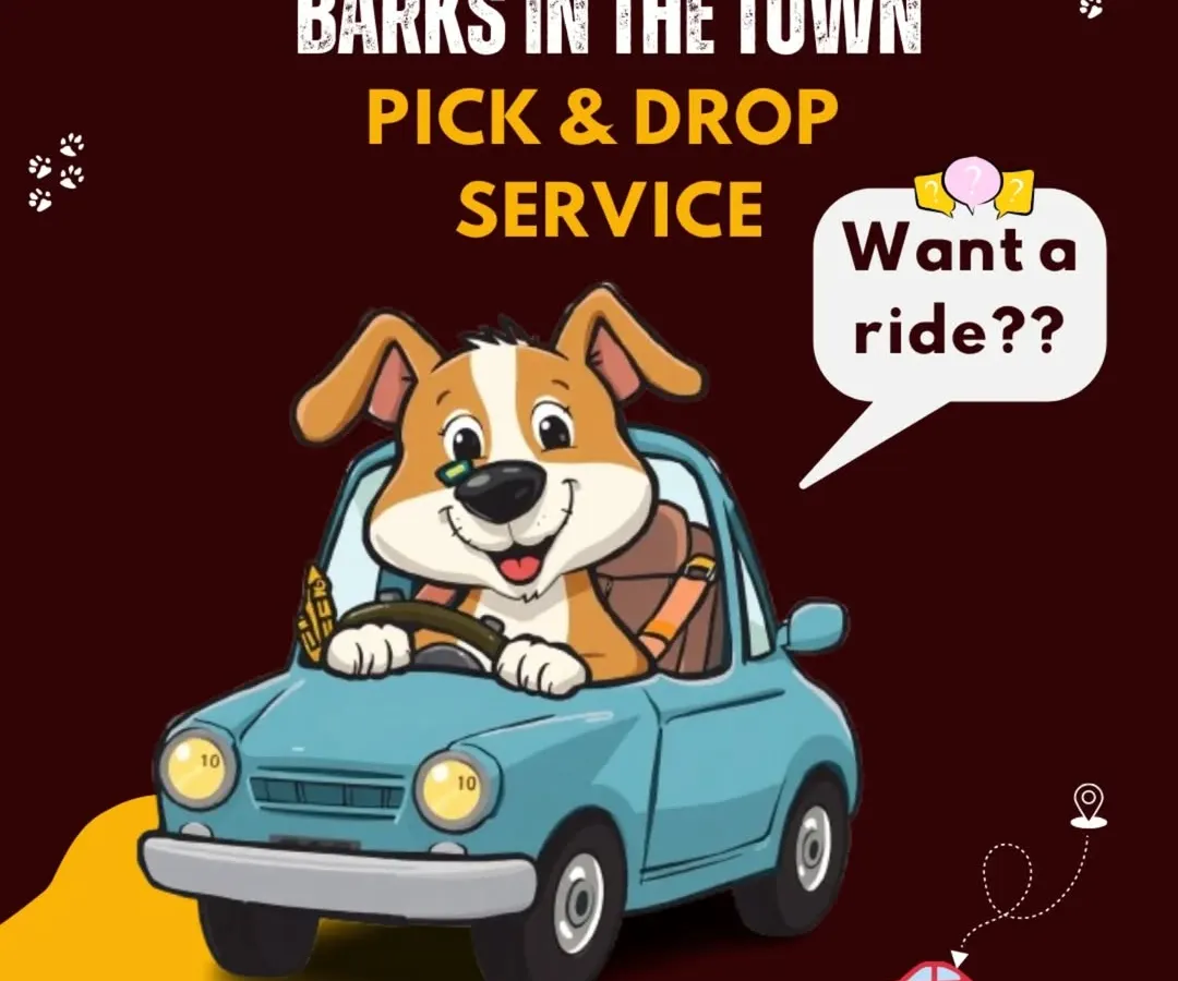 My pick-up and drop-off service is designed to make your life easier. I handle the driving so you can manage your busy schedule, and your pet gets the care they need without any travel stress for you.
