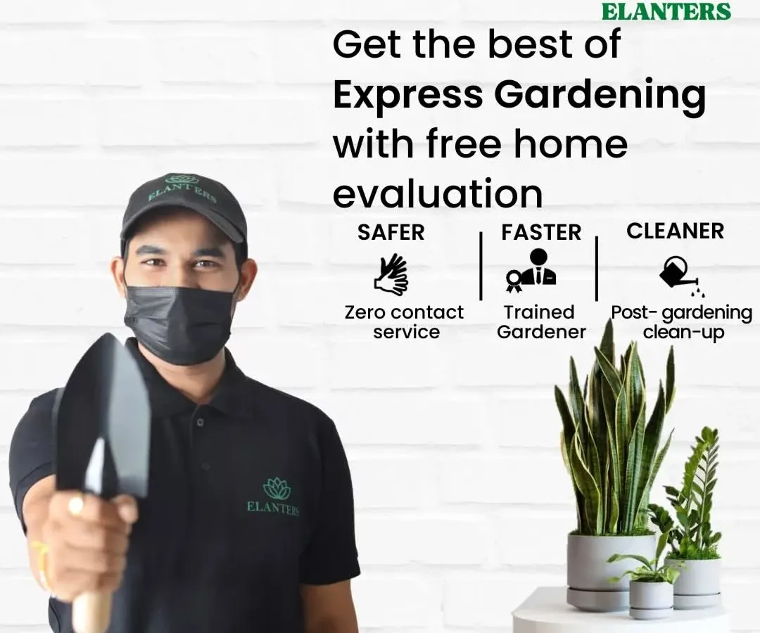 Hiring a professional gardener is now safer, faster, and cleaner. My team is trained to provide expert care with zero contact and we always clean up after, leaving your home and garden spotless.