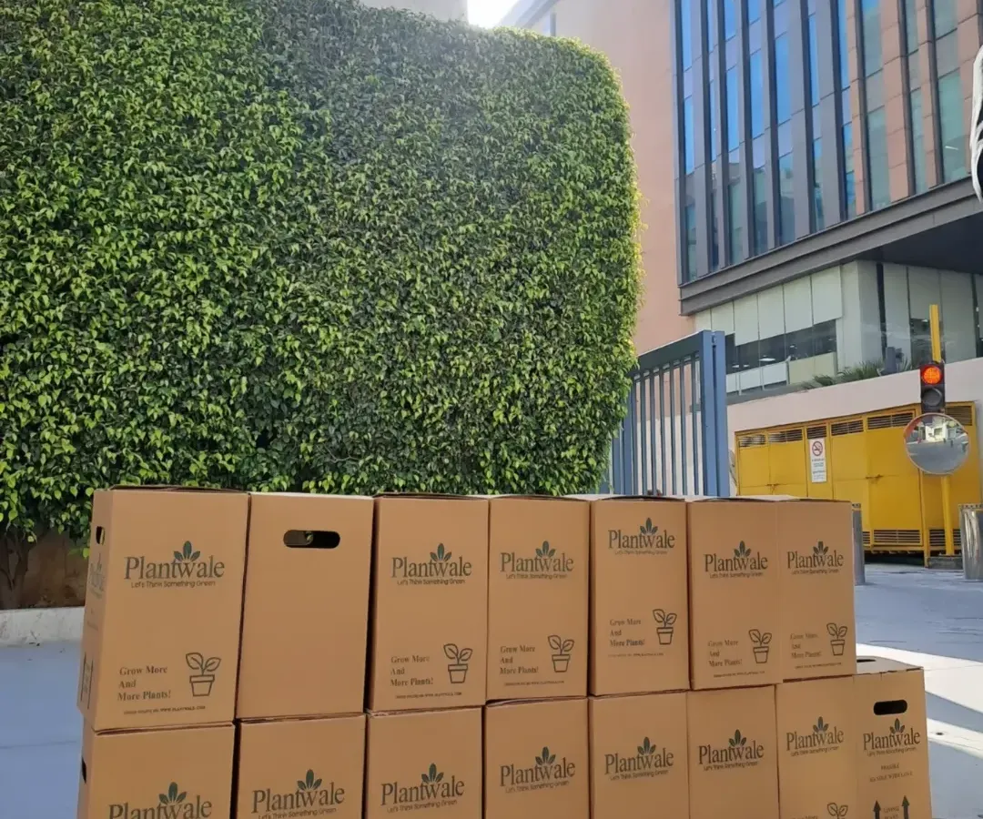 We are equipped to handle large-scale orders. Here you can see a bulk delivery of our branded gift boxes, ready to be distributed at a corporate office, demonstrating our capacity and professionalism.