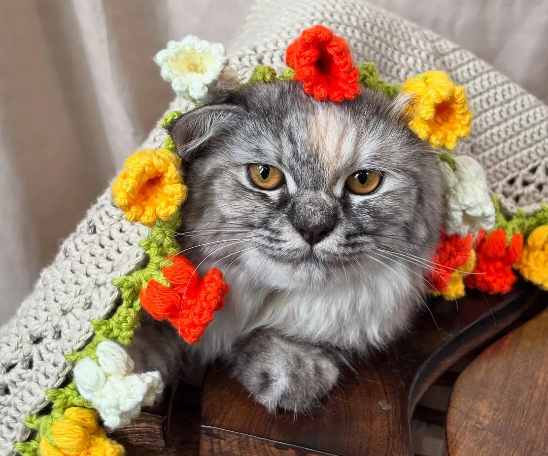 Our 'Valley of Lily' bouquet blanket is not just for humans. Our fluffy supervisor, Kiki, has officially approved it for maximum coziness and charm.
