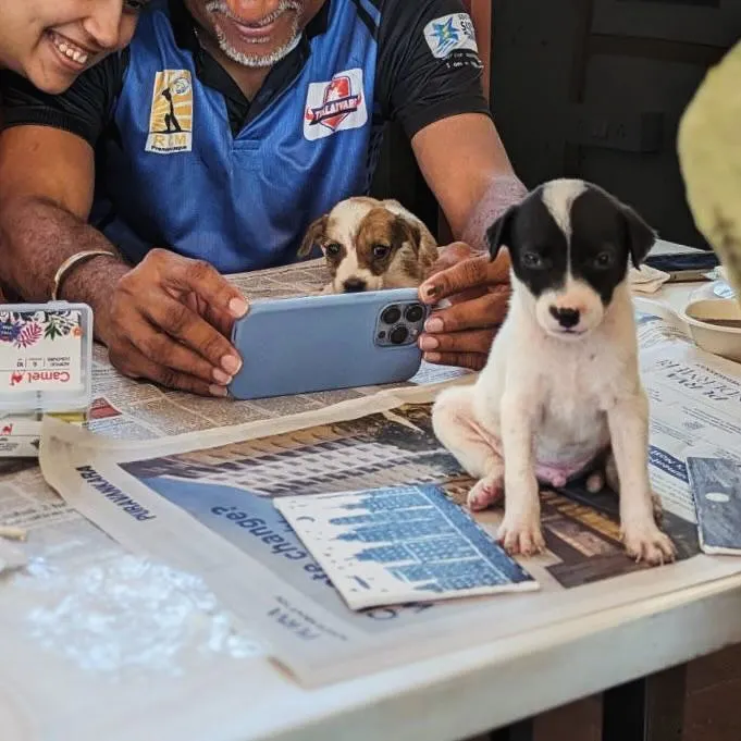 It's not just about the main event. It's about the small, unforgettable moments, like this participant capturing a picture of a curious puppy during our art session. Every interaction helps a shelter animal feel loved.