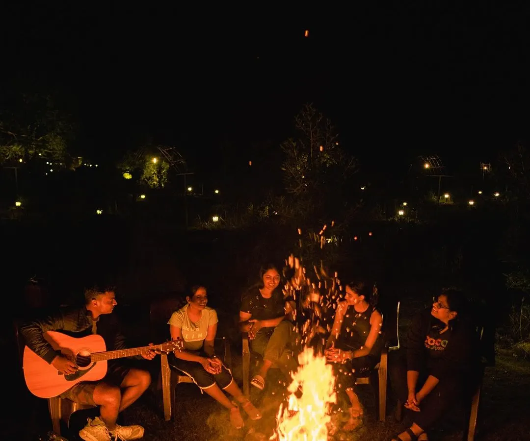 The best moments happen after the sun goes down. We gather around a crackling bonfire for stories, music, and making new friends under a starlit sky at our Ananthagiri Hills campsite.