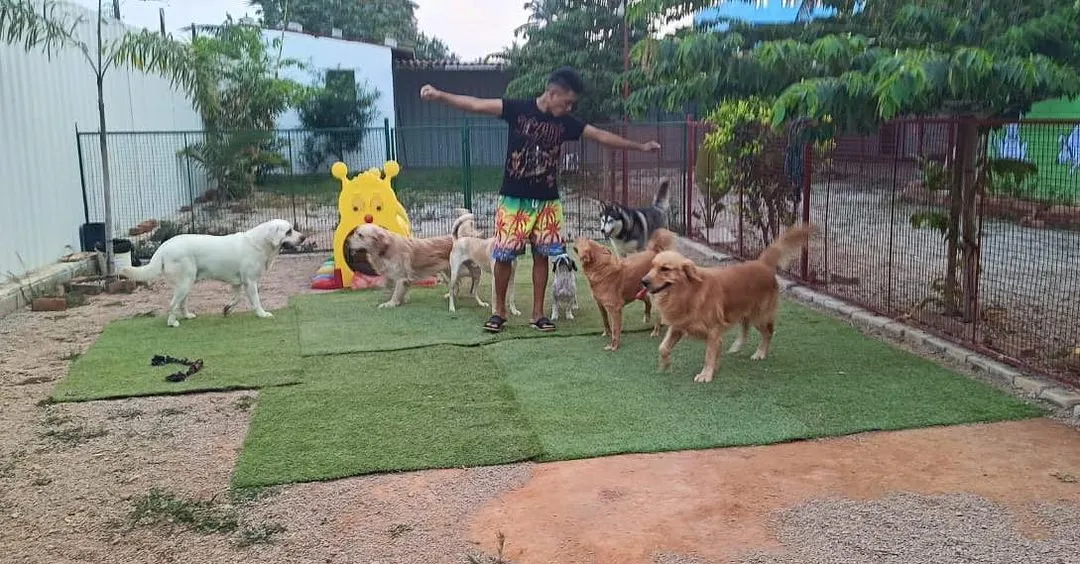 Come on, let's play..... I love getting right in the middle of the fun with the whole pack. There's nothing better than seeing so many happy faces and wagging tails in our play area.