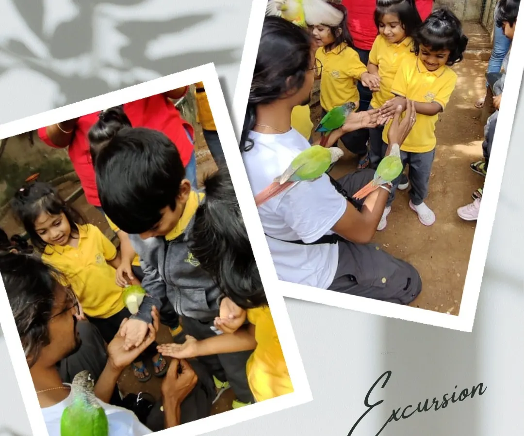 Gentle hands and curious minds meet as our children interact with birds during a field trip. We believe in learning that extends beyond our walls, fostering respect and a connection with the natural world.