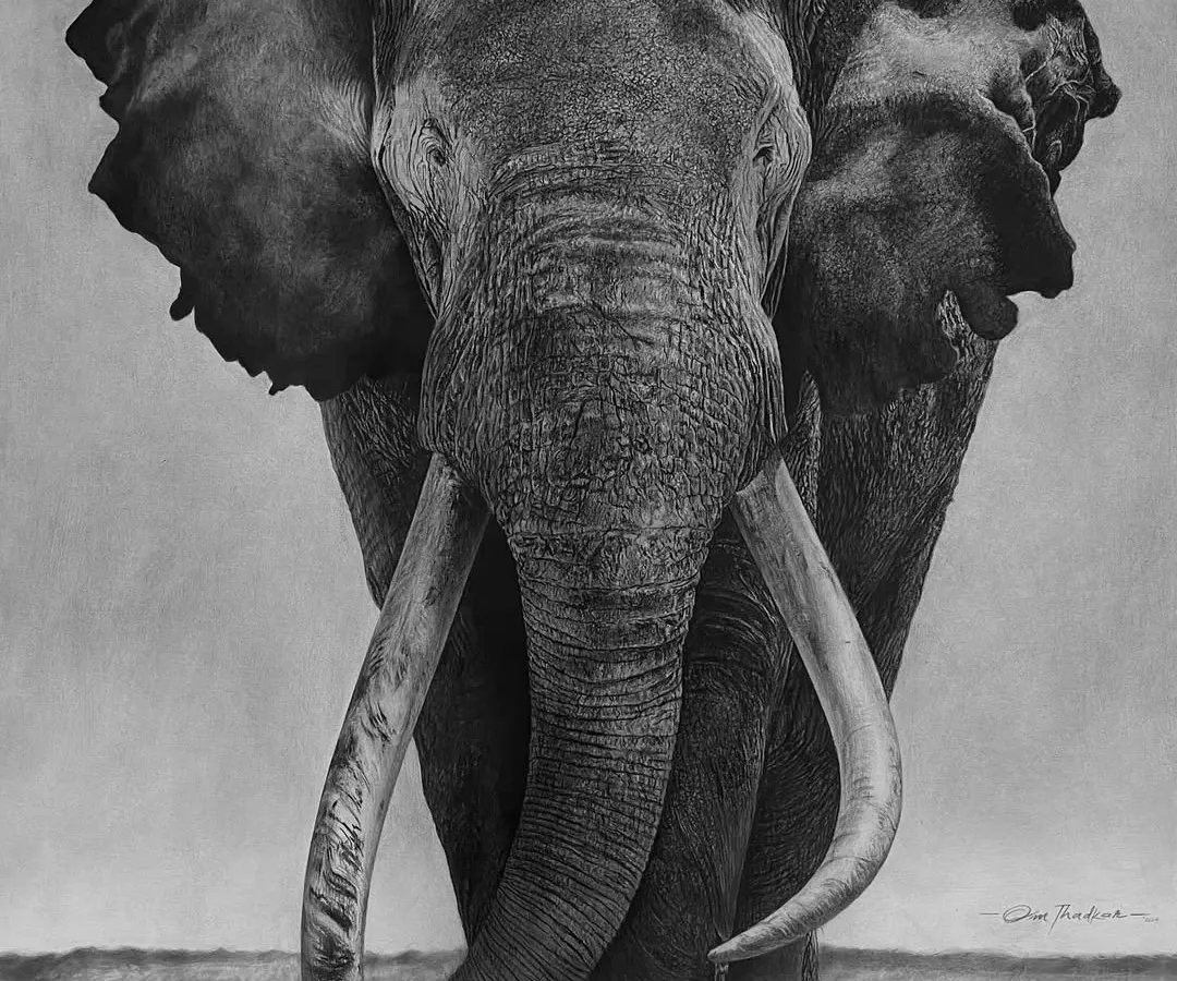I present 'Gajraaj', a tribute to the sheer power and majesty of the elephant. My goal with this large-scale charcoal drawing was to render every wrinkle and the weathered texture of the tusks, conveying a sense of ancient wisdom and enduring strength.