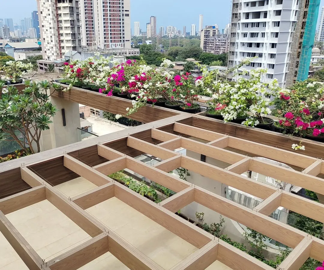 A stunning terrace garden we designed, bringing a burst of color against the Mumbai skyline. We used a mix of vibrant bougainvillea in custom planters to create a luxurious and inviting outdoor space perfect for relaxing.