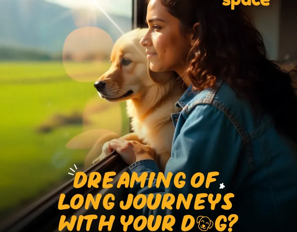 Planning a big move or a long vacation? We handle everything from long distance pet transport by road or air to ensure your best friend's journey is as comfortable and seamless as your own.