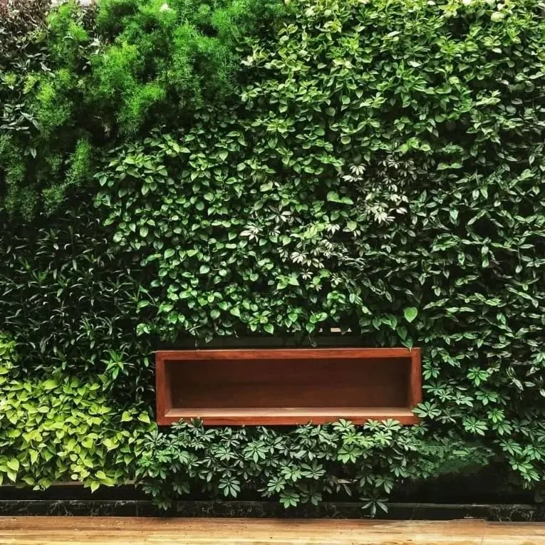 This is a living wall I created, a vertical garden that acts as a piece of natural art. It's not just visually stunning; it also improves air quality, making it perfect for both exterior and interior spaces.