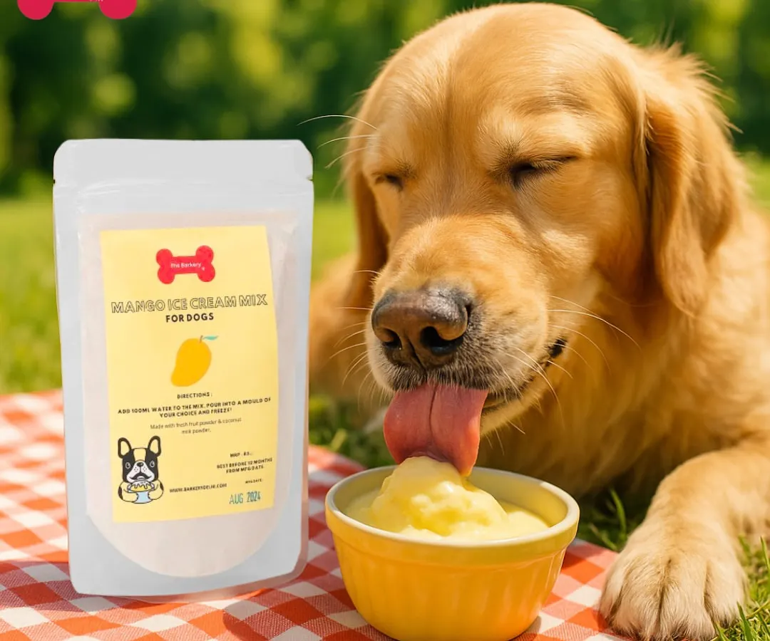 This is what pure happiness looks like! A beautiful Golden Retriever enjoying a scoop of my all-natural Mango Ice Cream. It's the perfect, refreshing treat for a sunny day, made from real fruit and without any added sugar.