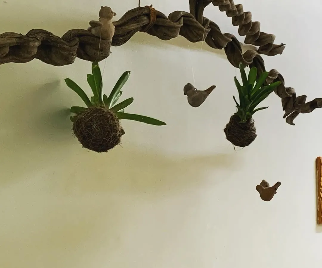 I designed this hanging wall art to be a living sculpture. It features two Kokedama moss balls, each with a hardy, air-loving plant, suspended from a piece of twisted driftwood. The little bird figures add a touch of whimsy, making this a unique piece of vertical garden decor for any empty wall.