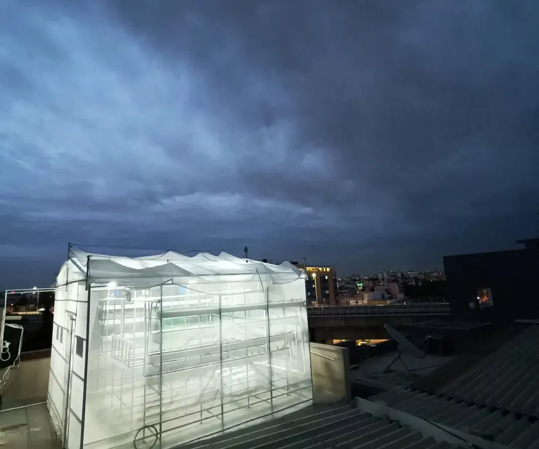 This is one of my custom setups, glowing against the evening sky. It shows how a productive farm can fit perfectly into an urban space, turning an unused corner of a roof into a source of fresh, clean food.