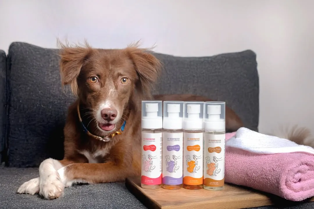 Here’s the lovely Simi posing like a pro for Furrfresh pet perfumes. I specialize in creating clean, engaging product photography that places your items and the adorable pet model in the perfect light.