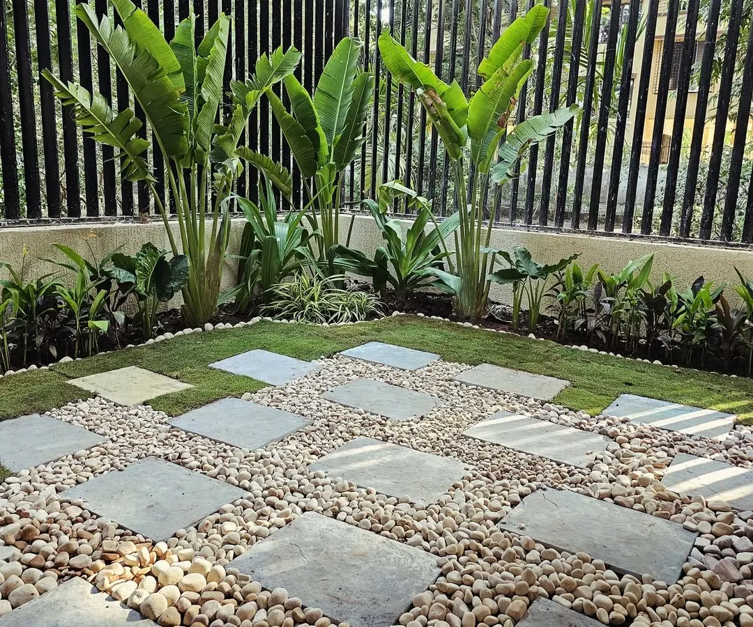 I designed this modern backyard corner to be super low maintenance but high on style. The combination of large stone pavers, smooth river pebbles, and tall Traveller's Palms creates a clean, tropical feel that's perfect for relaxing.