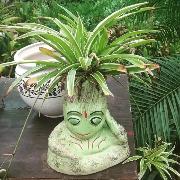 This meditating figure pot is one of my most popular decorative ceramic planters. It's perfect for indoor plants like this spider plant and adds a peaceful, unique touch to any room. Order now to get this special piece.