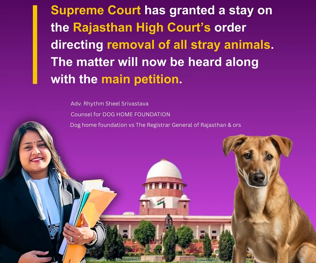 A significant victory at the Supreme Court. We successfully secured a stay on a High Court order that would have led to the mass removal of stray animals in Rajasthan, reinforcing animal birth control (ABC) rules across India.