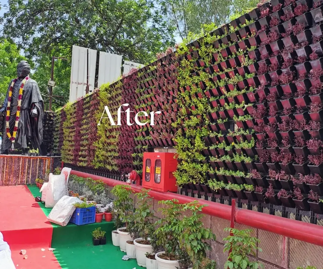 This large-scale outdoor project showcases a complete transformation. We installed a patterned vertical garden using a mix of green and red foliage, turning a plain retaining wall into a vibrant, living feature for a public space.