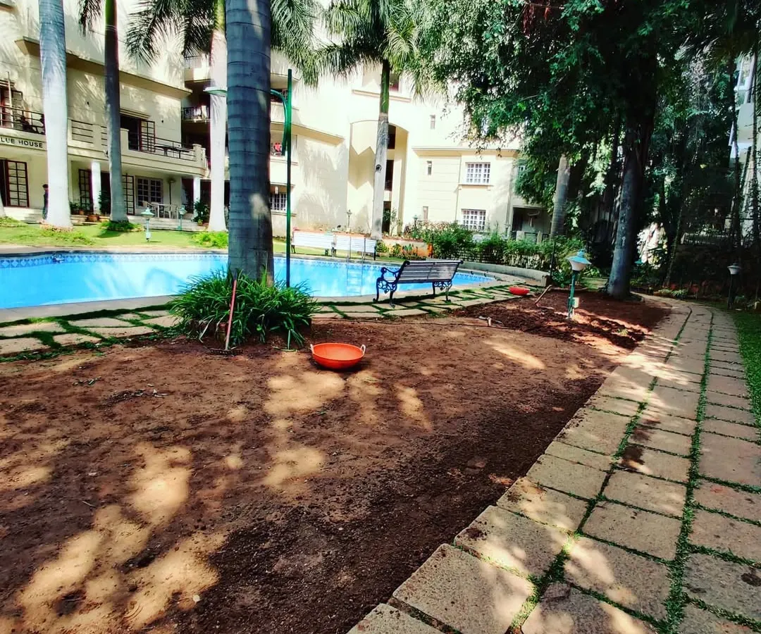 Here is the same poolside area before I started. It shows how even a completely bare patch of ground can be transformed into a lush garden.