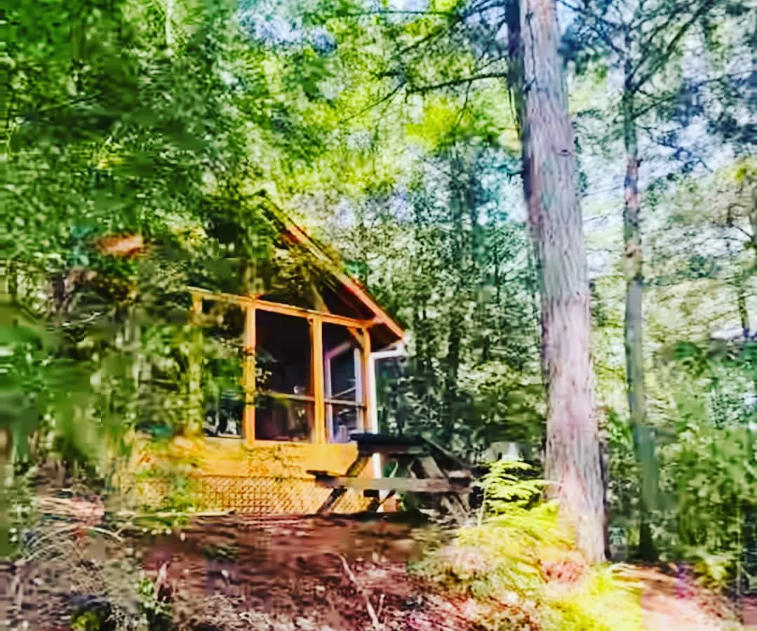 We design custom vacation prefab retreats that become your personal paradise. This cozy wooden cabin is nestled in a forest, offering a perfect escape with a design that harmonizes with nature for simple, sustainable living.