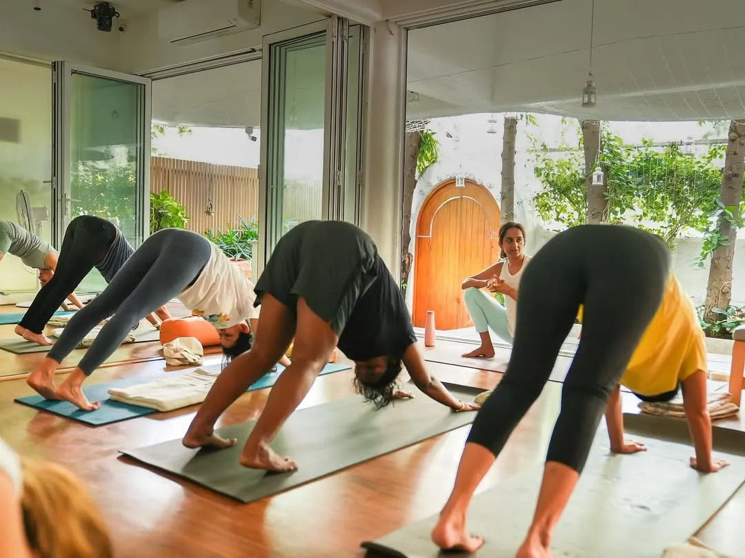 In our studio, I guide students to find their own alignment and truth. Here, I'm observing a class in Adho Mukha Svanasana (Downward-Facing Dog), ensuring everyone feels supported in our beautiful indoor-outdoor space.