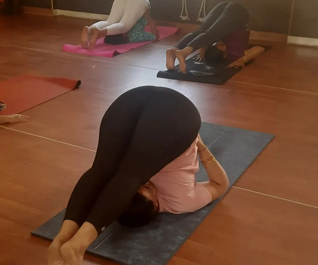 The Halasana, or Plough Pose, is a core part of my therapeutic sequences. I guide students through this asana to help regulate metabolism for thyroid health, manage blood pressure and diabetes, and alleviate chronic back pain.