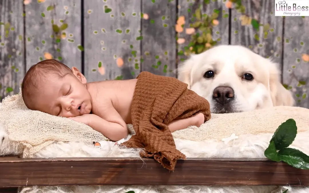 Welcoming a new baby with a furry friend is a special moment. I love creating these portraits that show the beginning of a beautiful friendship, ensuring both baby and pet are safe and relaxed throughout the session.