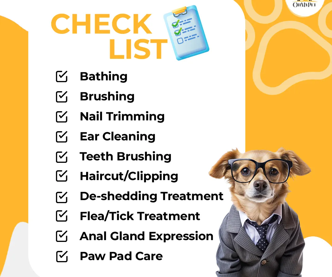 My at-home grooming service is more than just a haircut. I cover everything from bathing and brushing to nail trimming, ear cleaning, and even paw pad care to ensure your pet gets a complete, head-to-tail pampering session.