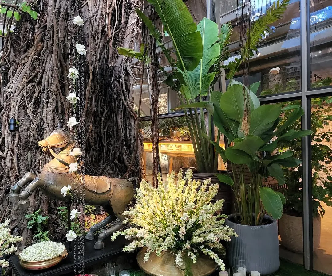 We transformed a space into a wild, magical forest for the pre-wedding bash of designers Arpita Mehta and Kunal Rawal. Here, you can see how we used the venue's incredible banyan tree as a natural centerpiece, surrounding it with tall Birds of Paradise plants and bowls of fresh flower petals to create a truly dreamy entrance.
