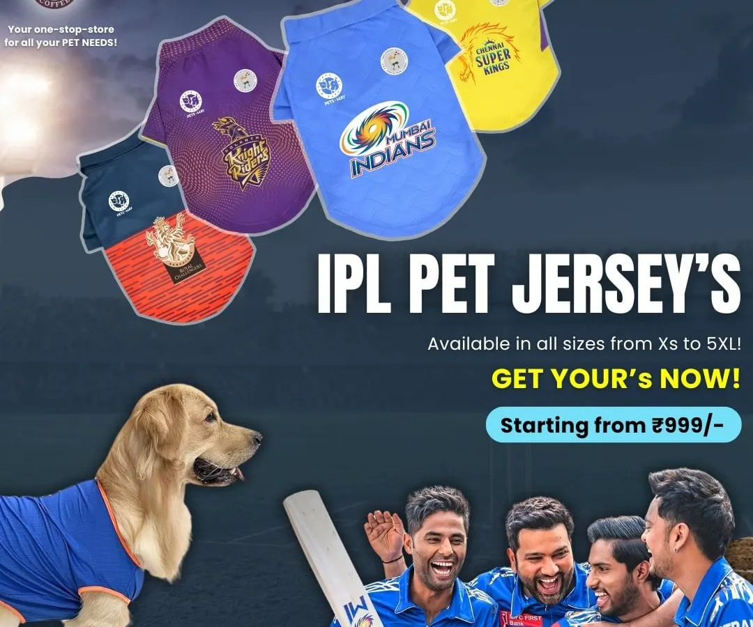 Let your pet show their team spirit! I've got these awesome IPL-inspired pet jerseys so your furry friend can be part of the cricket action. They are available in all sizes from XS to 5XL, because every fan deserves to cheer in style.