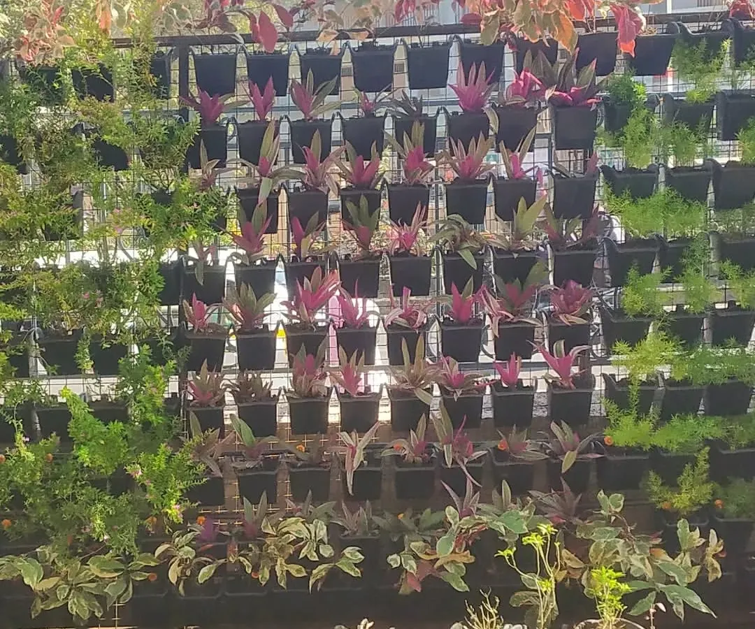 A vertical garden is a statement piece that transforms any blank wall. Here is a section of a large-scale living wall I designed and installed, using a pattern of different plant species to create texture and color. This is a great solution for adding lots of greenery without losing floor space.