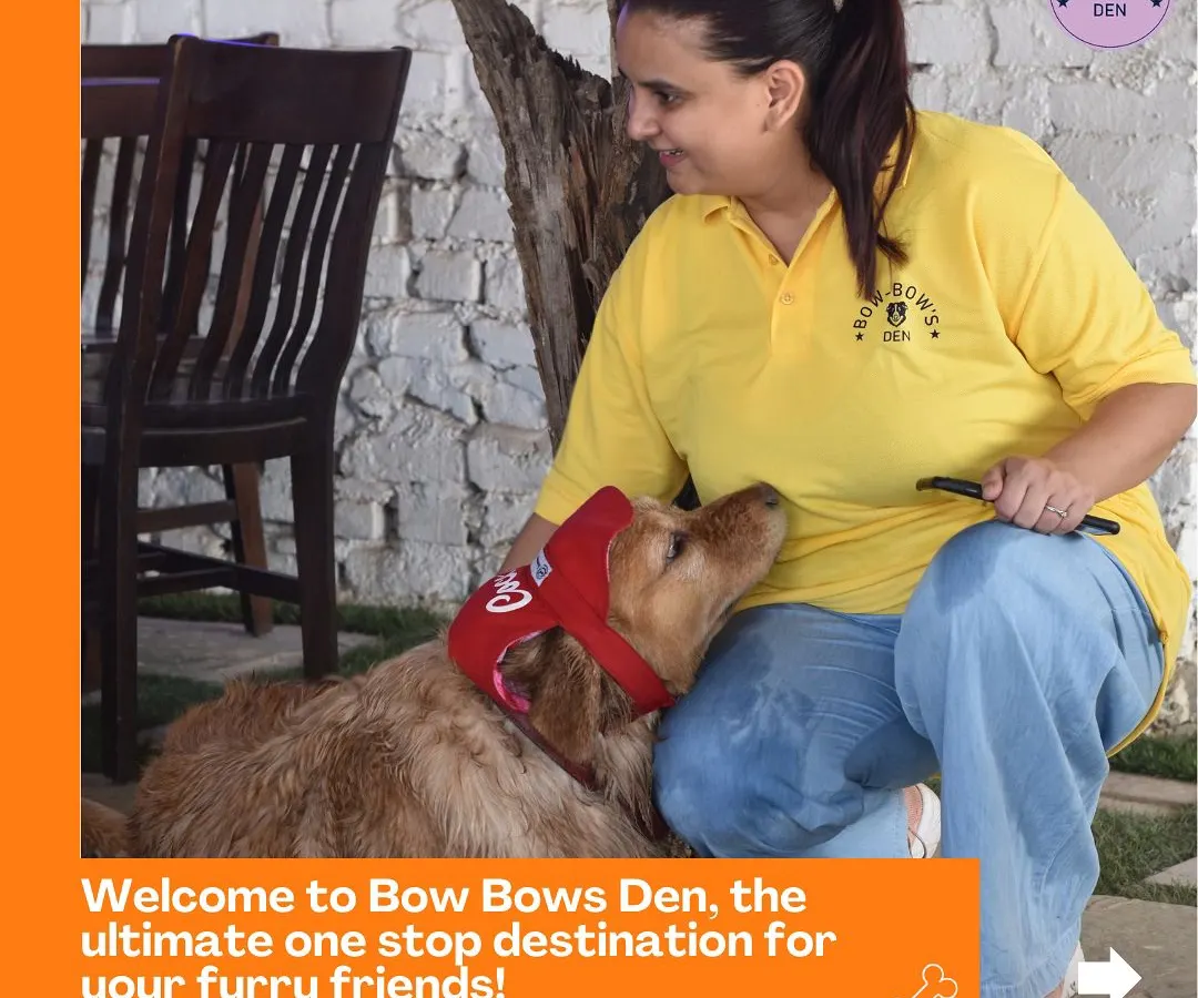 We're Manpreet and team, and this is more than a business for us; it's our passion. Here, every dog gets personal attention and affection, just like our own. We make sure every guest, like this sweet Golden Retriever, feels loved and secure during their stay.