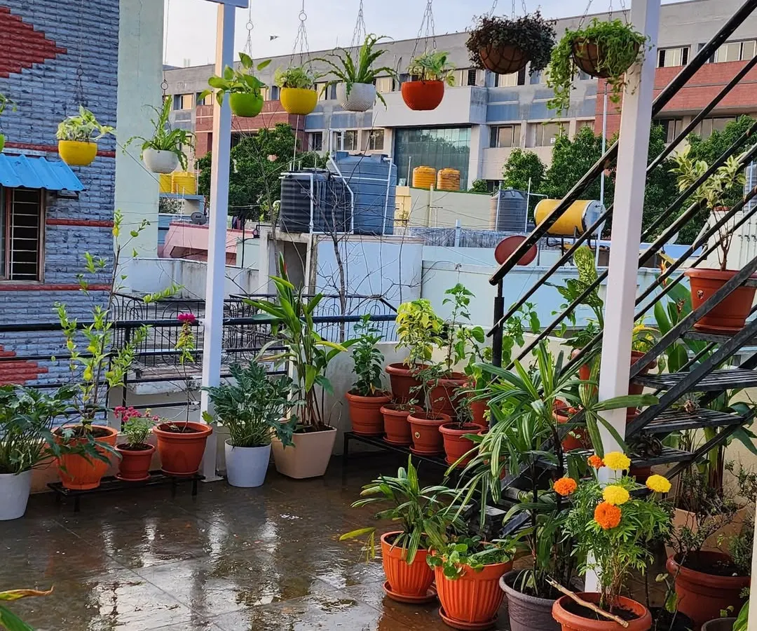 Here is a finished terrace garden that makes me so proud. I used a mix of floor planters, multi-level stands, and colorful hanging pots to create depth and visual interest, turning this rooftop into a beautiful, relaxing oasis for my client.