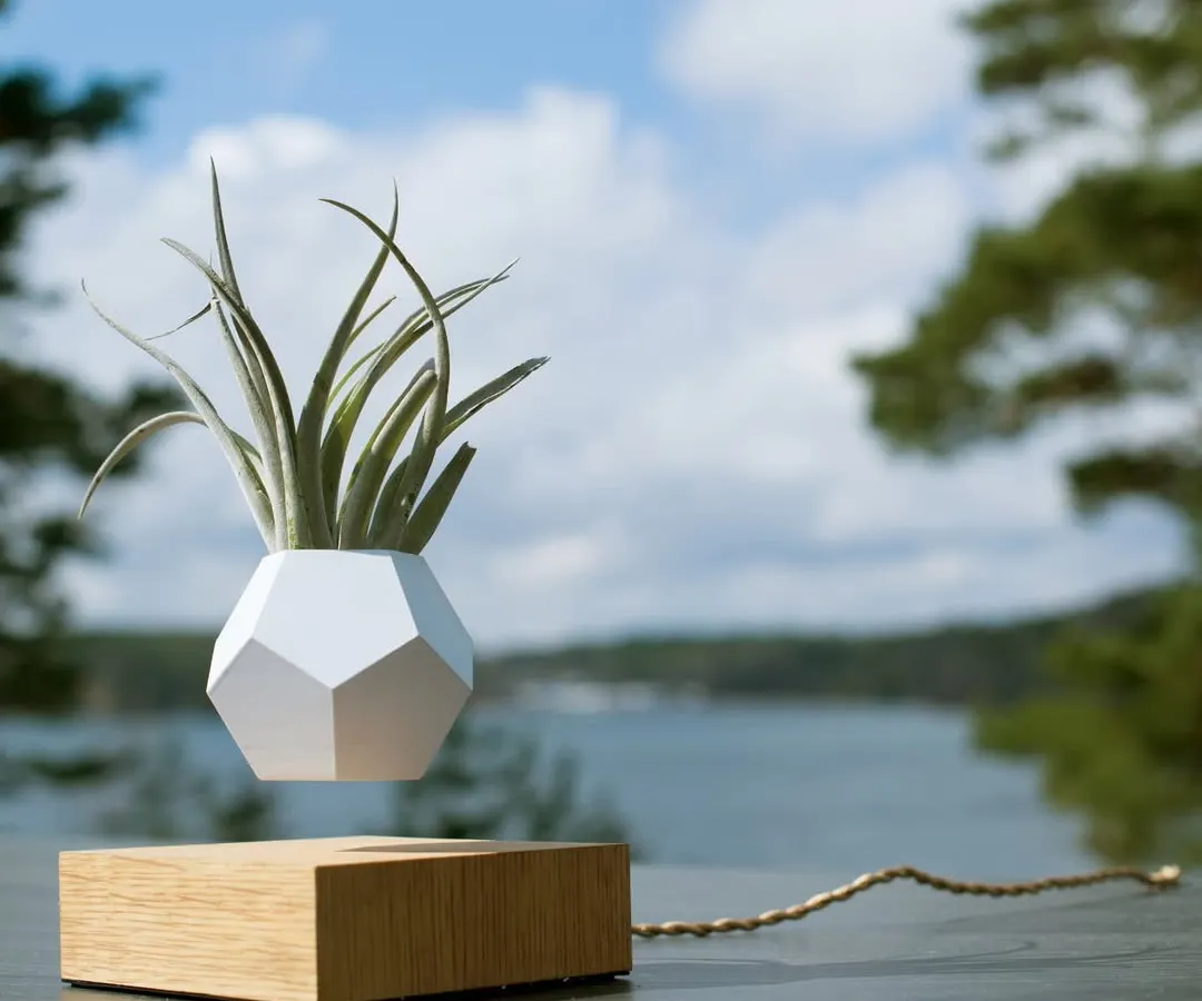 The LYFE planter hovers and rotates, giving your air plants 360-degree access to sunlight. This image captures the planter in a natural outdoor setting, highlighting its connection to nature and minimalist Scandinavian design.