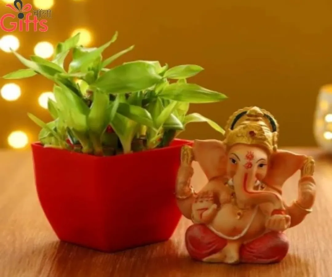 This thoughtful gift combo pairs a Lucky Bamboo plant, known for bringing good fortune, with a serene Ganesha idol. It's the perfect green gift for housewarmings, new beginnings, or festive occasions.